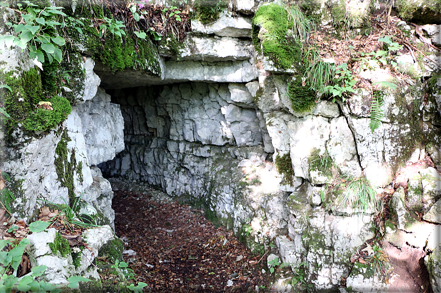 foto Gallerie del Col Campeggia